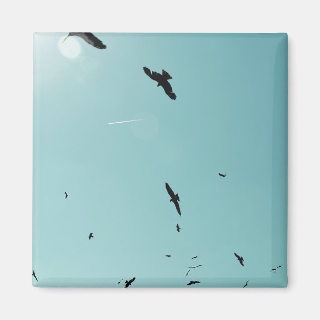 Many birds and a contrail magnet (Front)