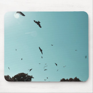 Many birds and a contrail mouse mat