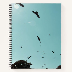 Many birds and a contrail notebook
