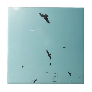 Many birds and a contrail tile
