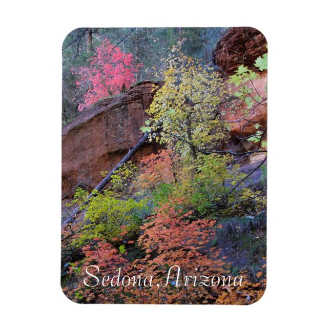 Many colours of Sedona Magnet (Vertical)