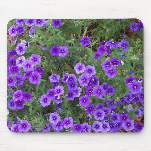 Many dark purple phiox flowers mouse mat (Front)