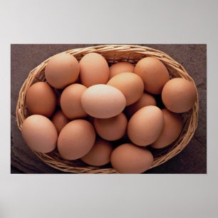 Many eggs in basket poster