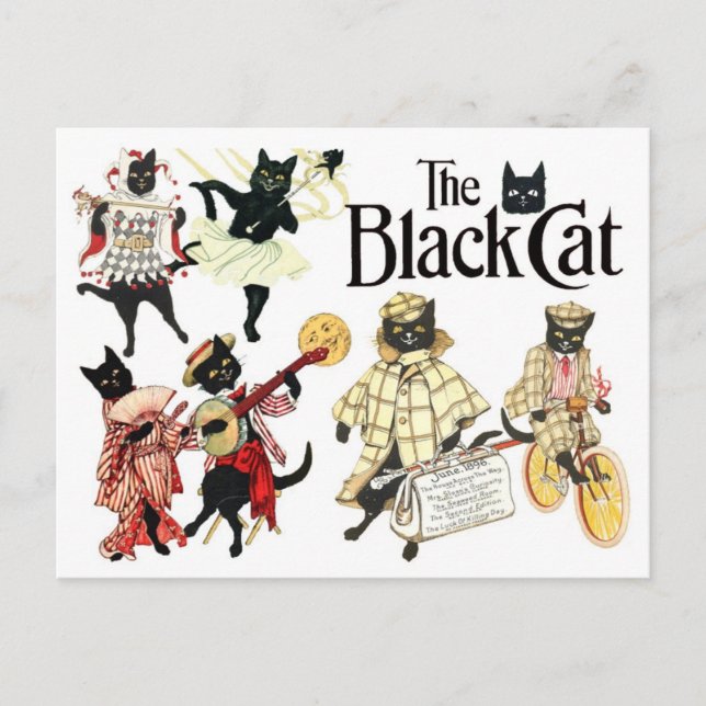 Many Faces of the Black Cat Postcard (Front)