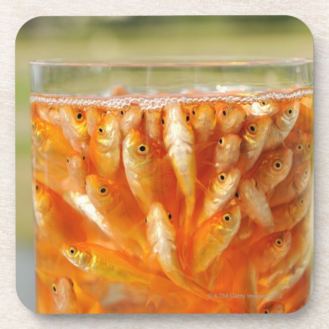 Many goldfish which are in the glass container coaster (Front)