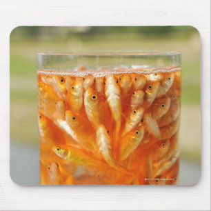 Many goldfish which are in the glass container mouse mat
