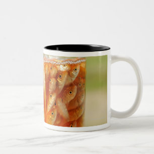 Many goldfish which are in the glass container Two-Tone coffee mug
