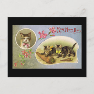 Many Happy Days Postcard
