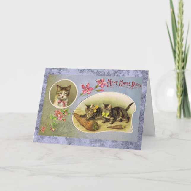 Many Happy Days Vintage Cat Card (Front)