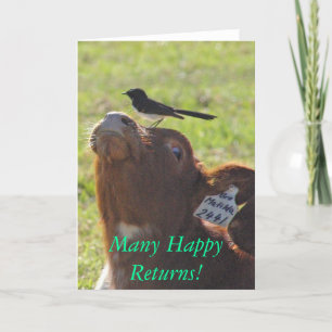 Many Happy Returns! Card