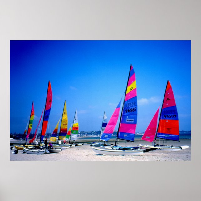 Many Hobie sailing boats in Jersey Poster (Front)