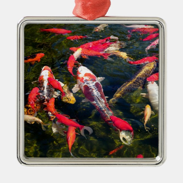 Many koi carp on the water surface  metal tree decoration (Front)