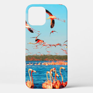 Many pink beautiful flamingos in a beautiful blue iPhone 12 case