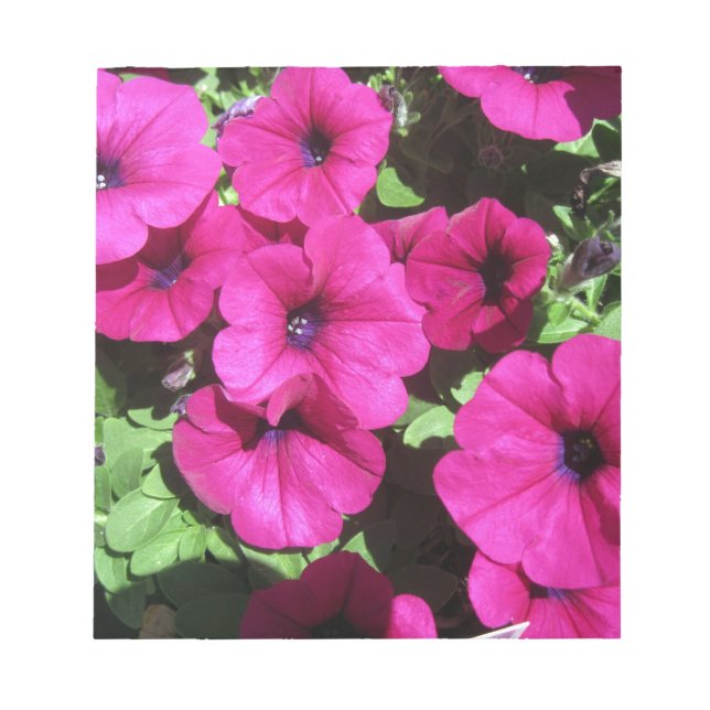 Many Purple Petunias Notepad (Front)
