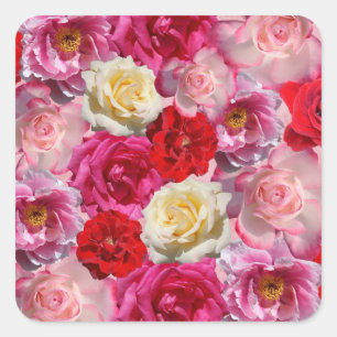many roses stickers