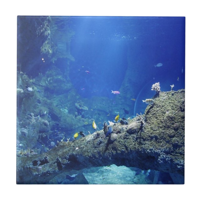 Many Sea Fishes Tile (Front)