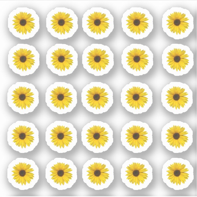 Many small sunflowers (Front)
