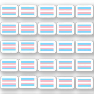 Many small transgender flags