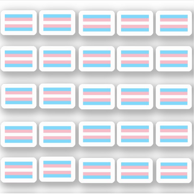 Many small transgender flags (Front)