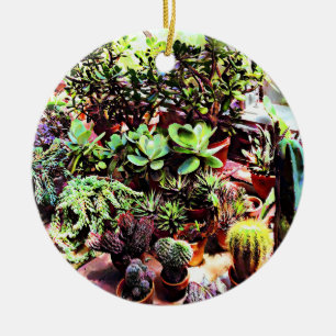 Many Varieties of Cactus Ceramic Tree Decoration