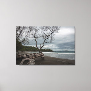 Manzanillo Canvas Print