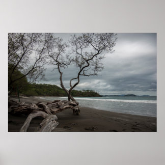 Manzanillo Poster