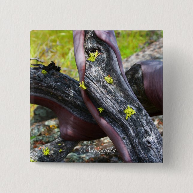 Manzanita Button (Front)