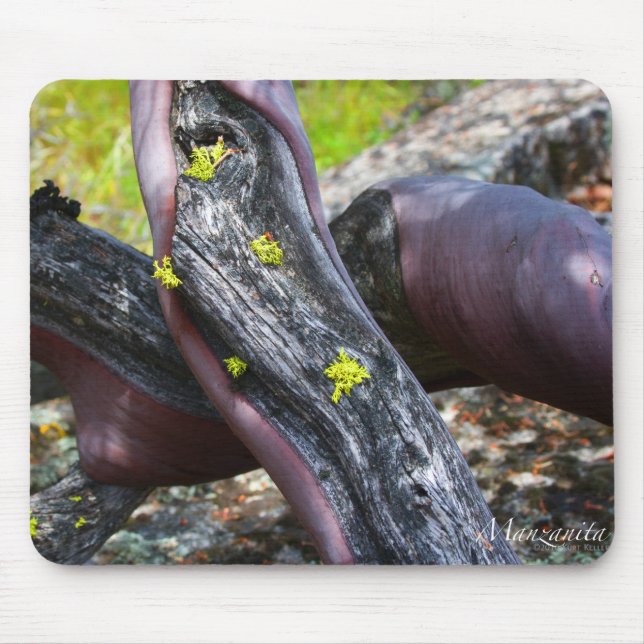 Manzanita Mousepad (Front)