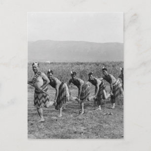 Maori War Dance Photograph Postcard