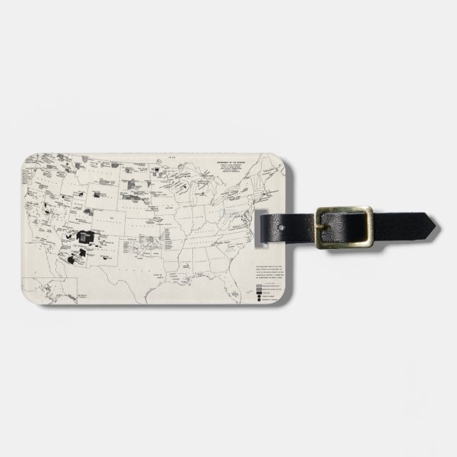 MAP: AMERICAN INDIANS 2 LUGGAGE TAG (Front Horizontal)