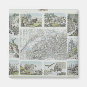 Map and Vignettes of Swiss Alps Magnet