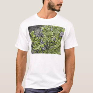 Map Lichen T-Shirt