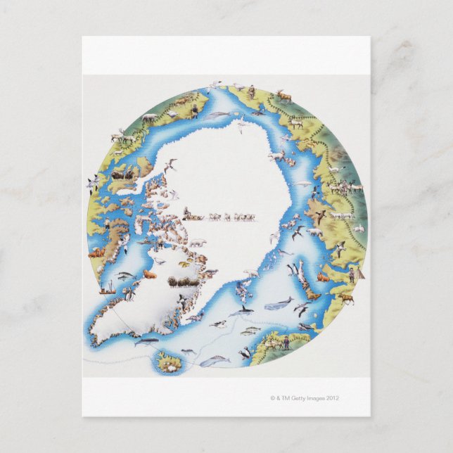 Map of Arctic Postcard (Front)