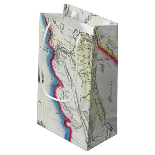 Map of California Small Gift Bag (Back Angled)