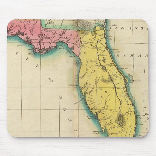 Map Of Florida Mouse Mat (Front)