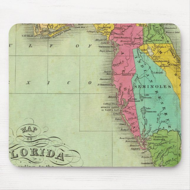 Map of Florida Mouse Mat (Front)