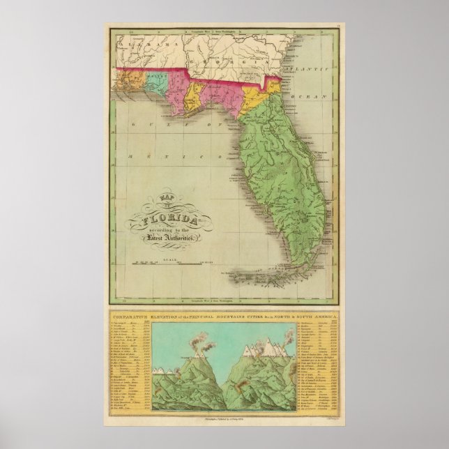 Map of Florida Poster (Front)