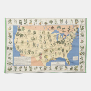 Map of Herbal Remedies laminated placemat Tea Towel