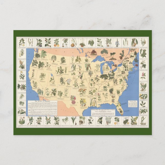 Map of Herbal Remedies postcard (Front)