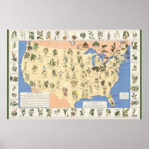 Map of Herbal Remedies poster