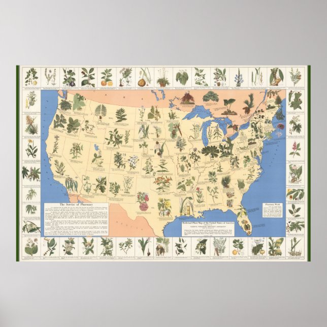 Map of Herbal Remedies poster (Front)