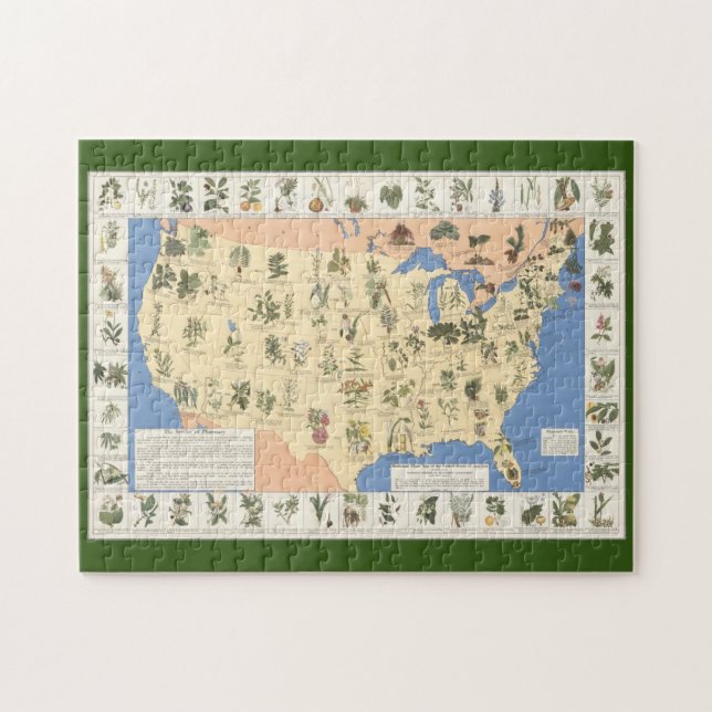 Map of Herbal Remedies puzzle (Horizontal)