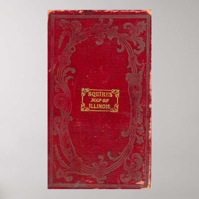 Map of Illinois Poster (Front)