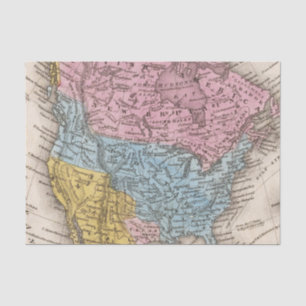 Map of North America 2 Tissue Paper