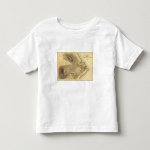 Map of Part of the Island of Hawaii Toddler T-Shirt