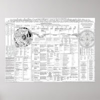 Map of Terms 3.06