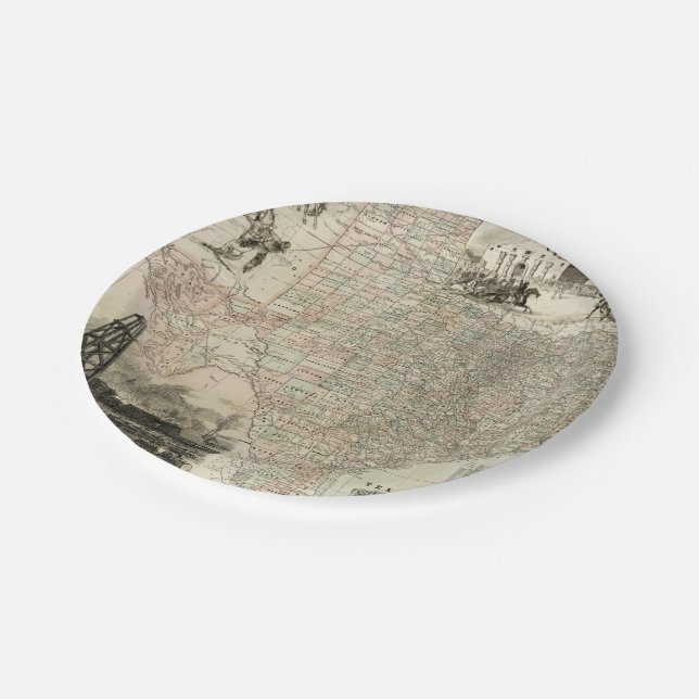 Map of Texas with County Borders Paper Plate (Angled)