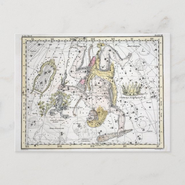 Map of The Constellations Plate VIII Postcard (Front)