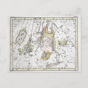 Map of The Constellations Plate VIII Postcard