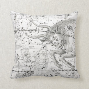 Map of The Constellations Plate XIV Cushion